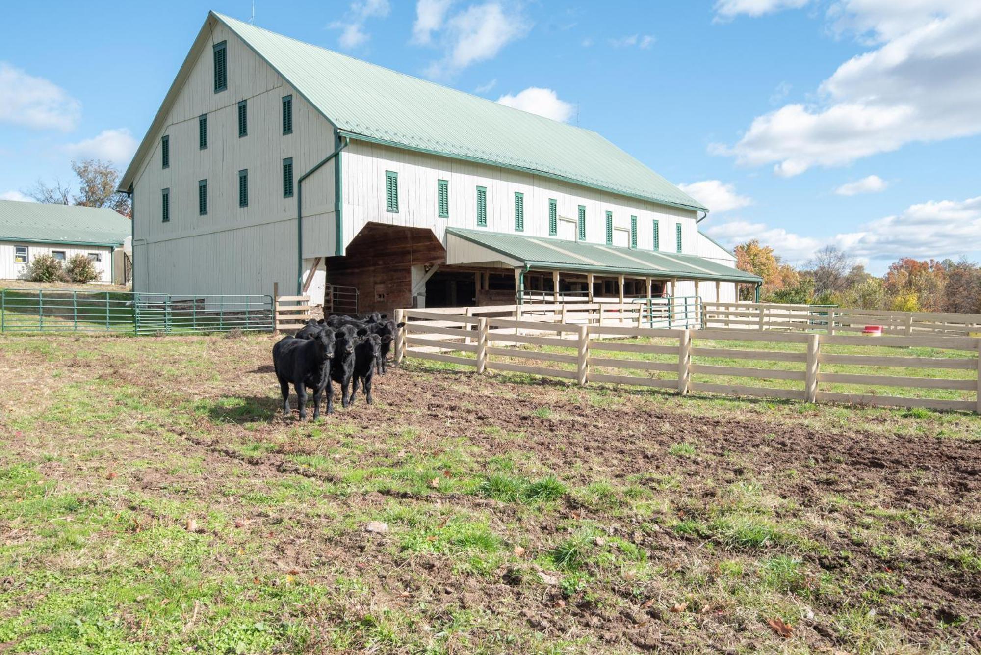 Cozy Cow With Pool! Villa Gettysburg Buitenkant foto